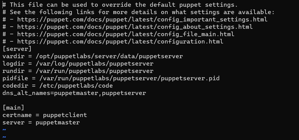 puppet-client-setup.PNG