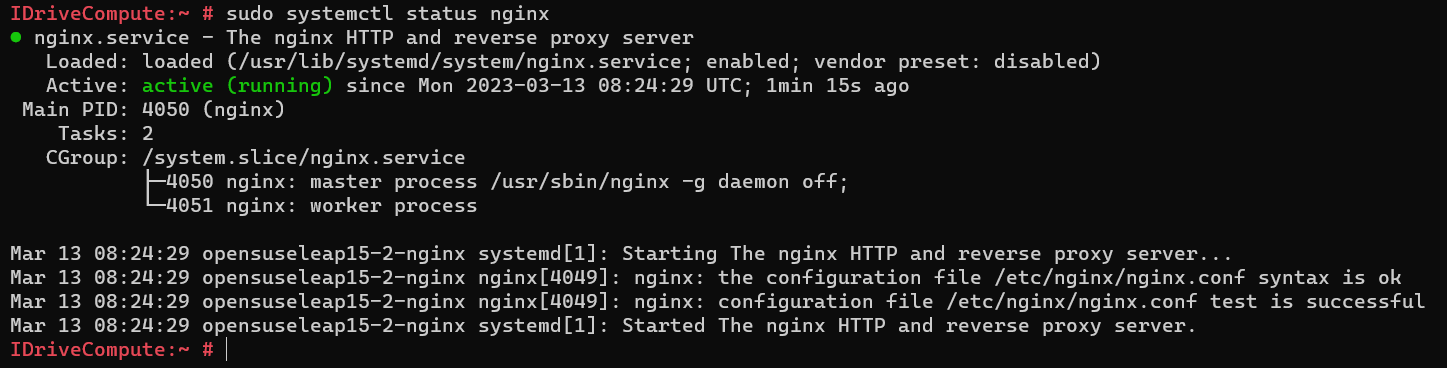 Nginx-version.PNG