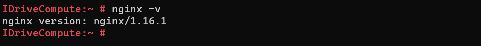 nginx-version.PNG
